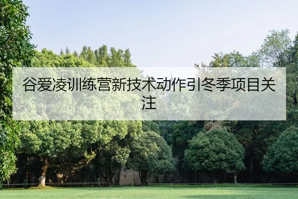 gu-ai-ling-xun-lian-ying-xin-ji-shu-dong-zuo-yin-dong-ji-xiang-mu-guan-zhu-2-985.jpg