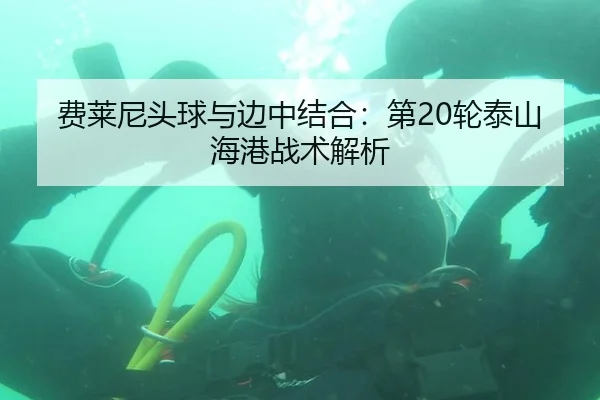 费莱尼头球与边中结合：第20轮泰山海港战术解析