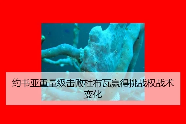 约书亚重量级击败杜布瓦赢得挑战权战术变化